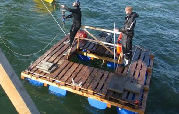 Zugversuche mit Ankern.jpg
