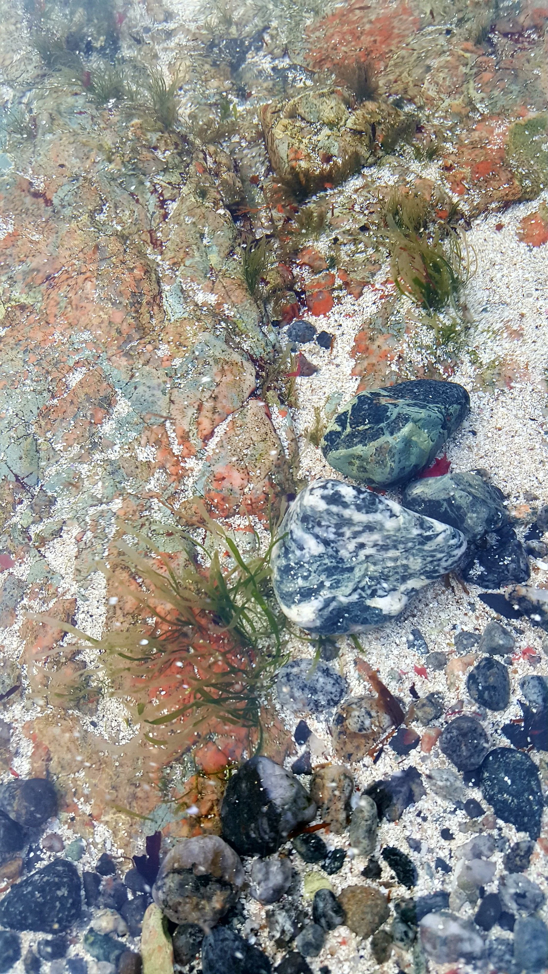 Colourful Stones of Barra
