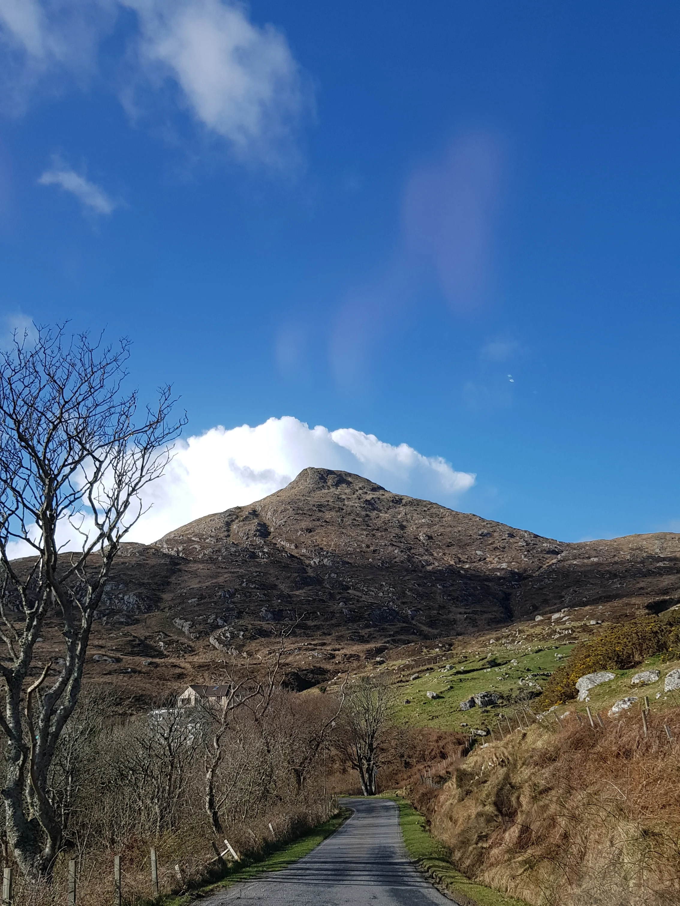 20190304_185545.jpg