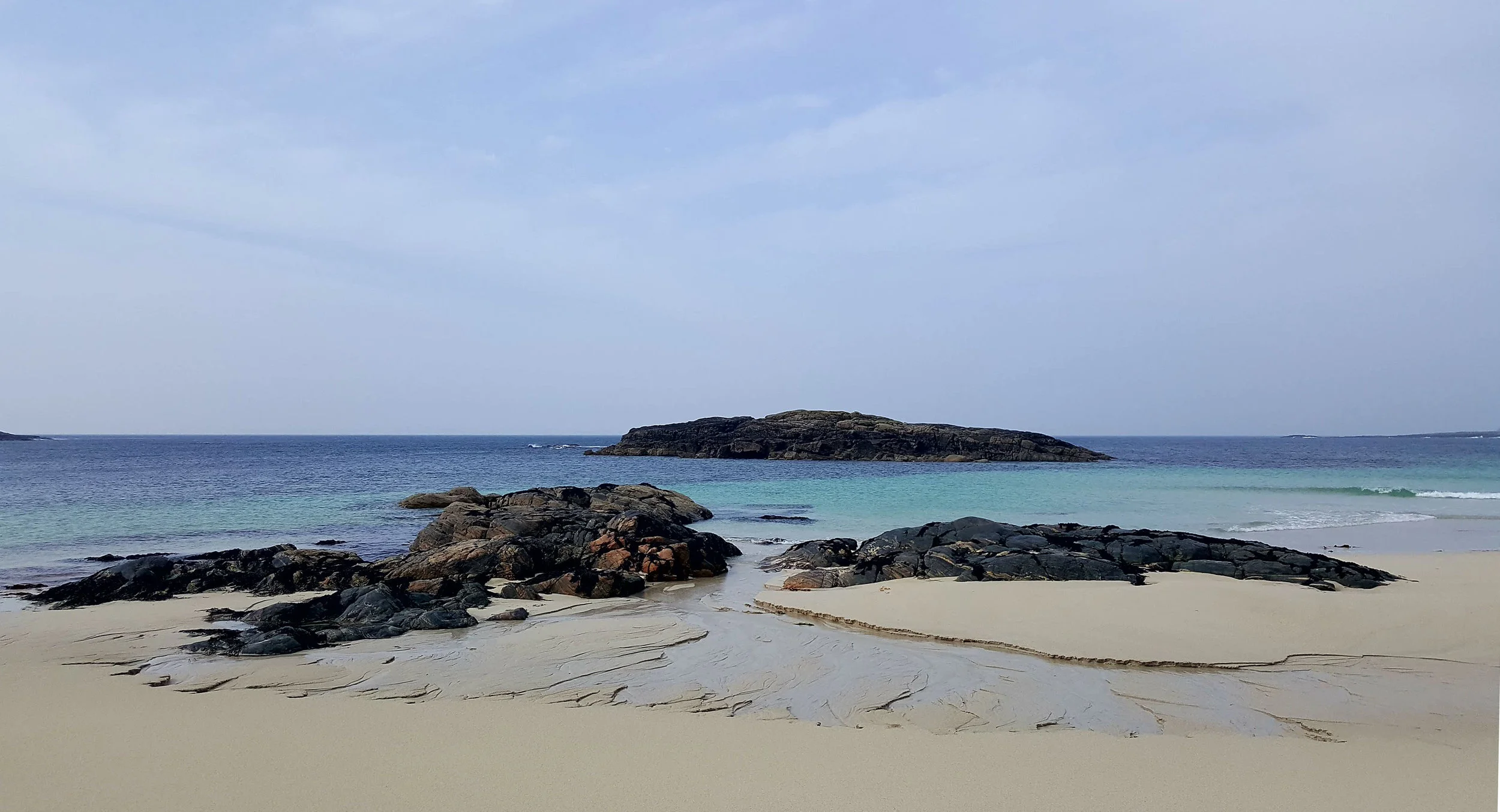 20190419_155615.jpg