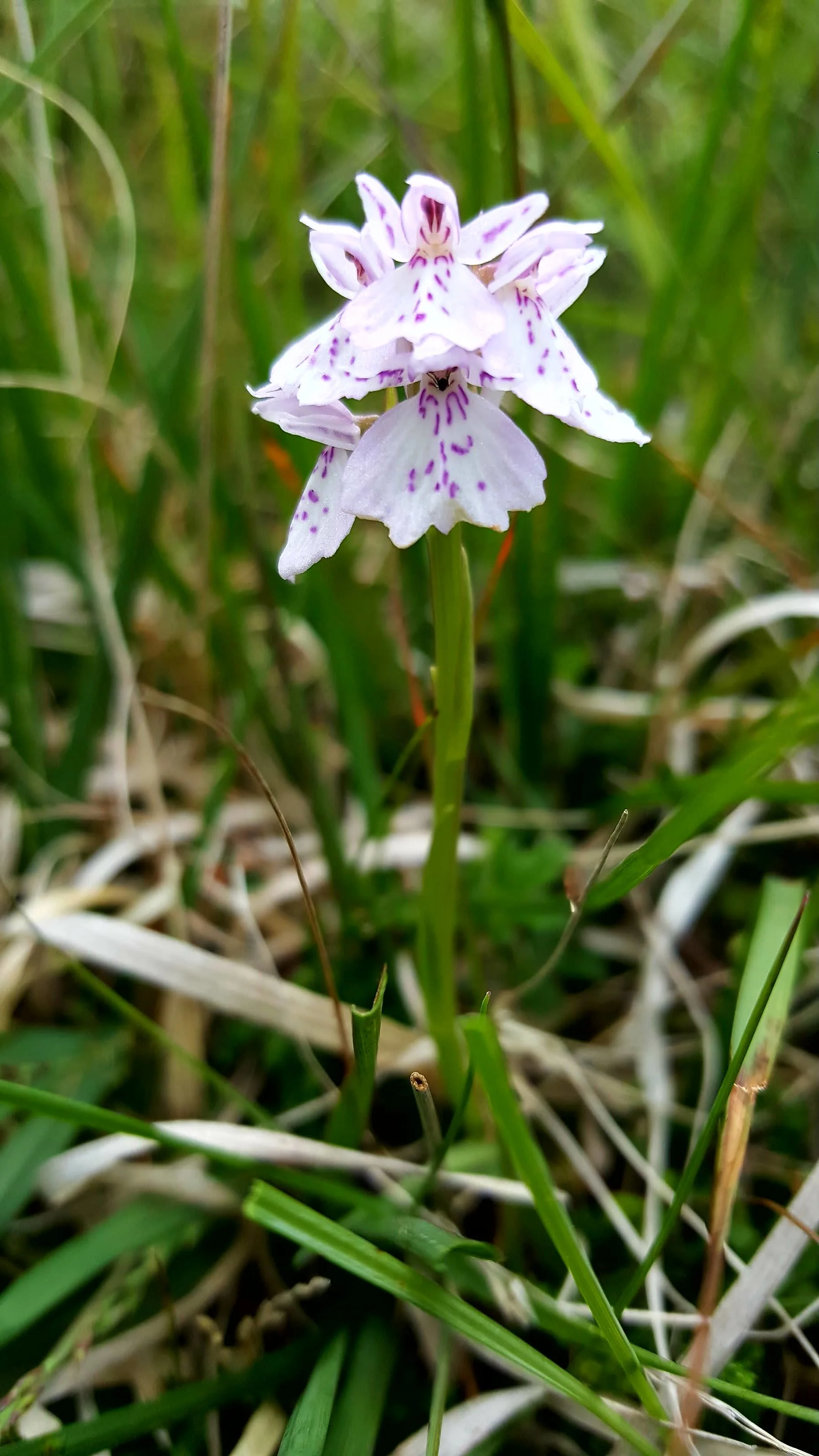 20190701_202134.jpg