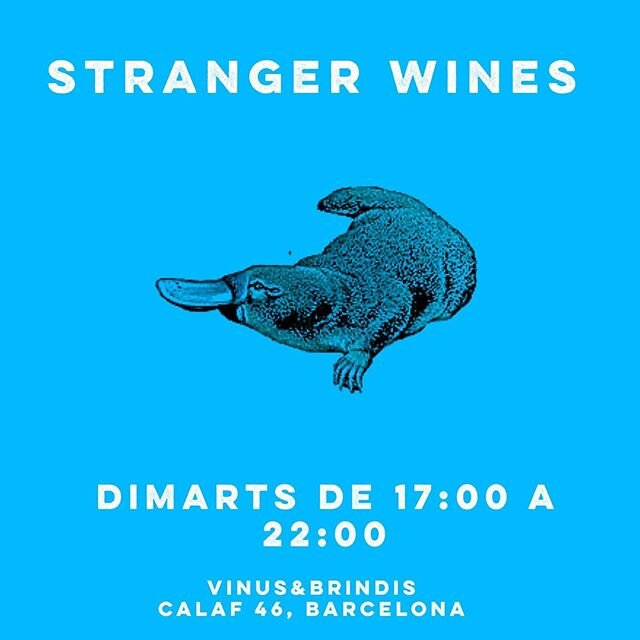 😊Ja tenim nova pista de l'#StrangerWines de dimarts!
Comen&ccedil;a la revetlla amb nosaltres amb una copa d'un vi molt especial.
🐾 Aqu&iacute; la pista: la varietat del nostre vi protagonista &eacute;s una mica l&rsquo;ornitorrinco dels ra&iuml;ms