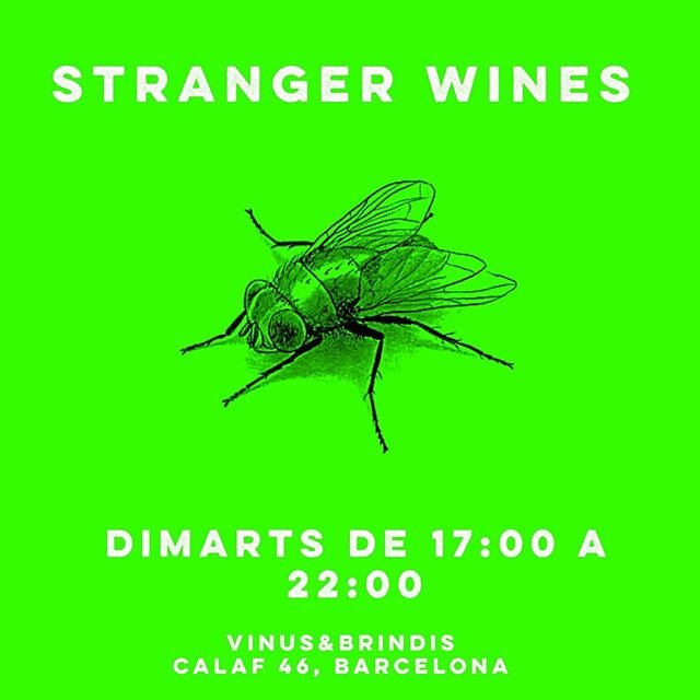 😊Arriba la nova pista de l'#StrangerWines de dimarts!
Ja veieu que seguim molt animals, per&ograve; aquesta setmana el nostre medi &eacute;s l'aire.
🦟Aqu&iacute; la pista: el dibuix de l'insecte &eacute;s clau per saber la varietat del vi. F&agrave