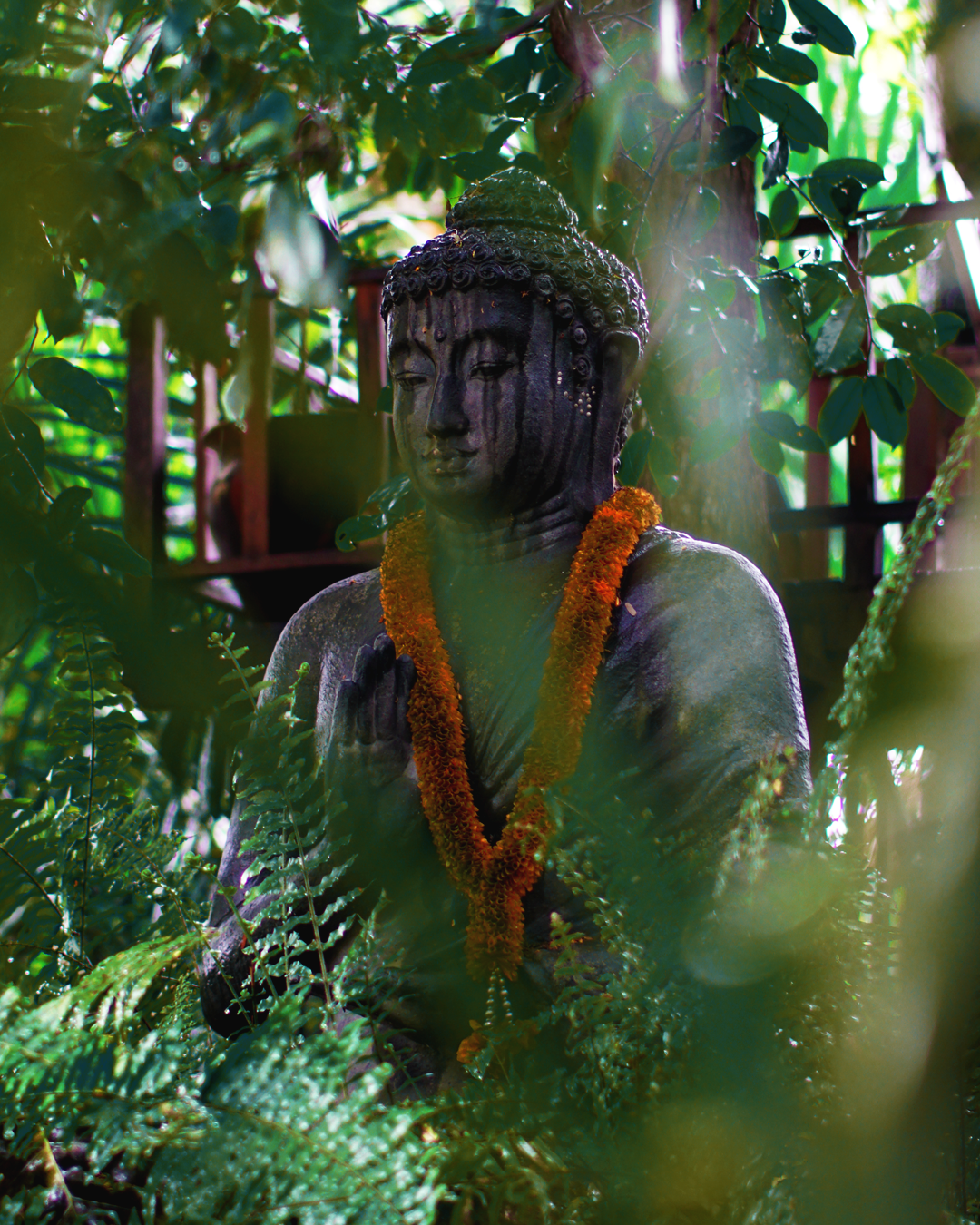 A Buddha at the Lewak coffee plantation, Ubud. Photo: Jake McCabe.
