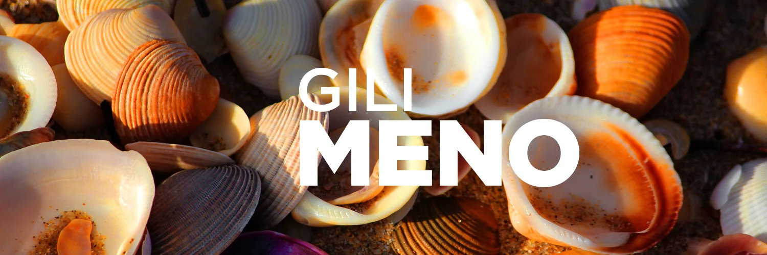 gili meno.jpg