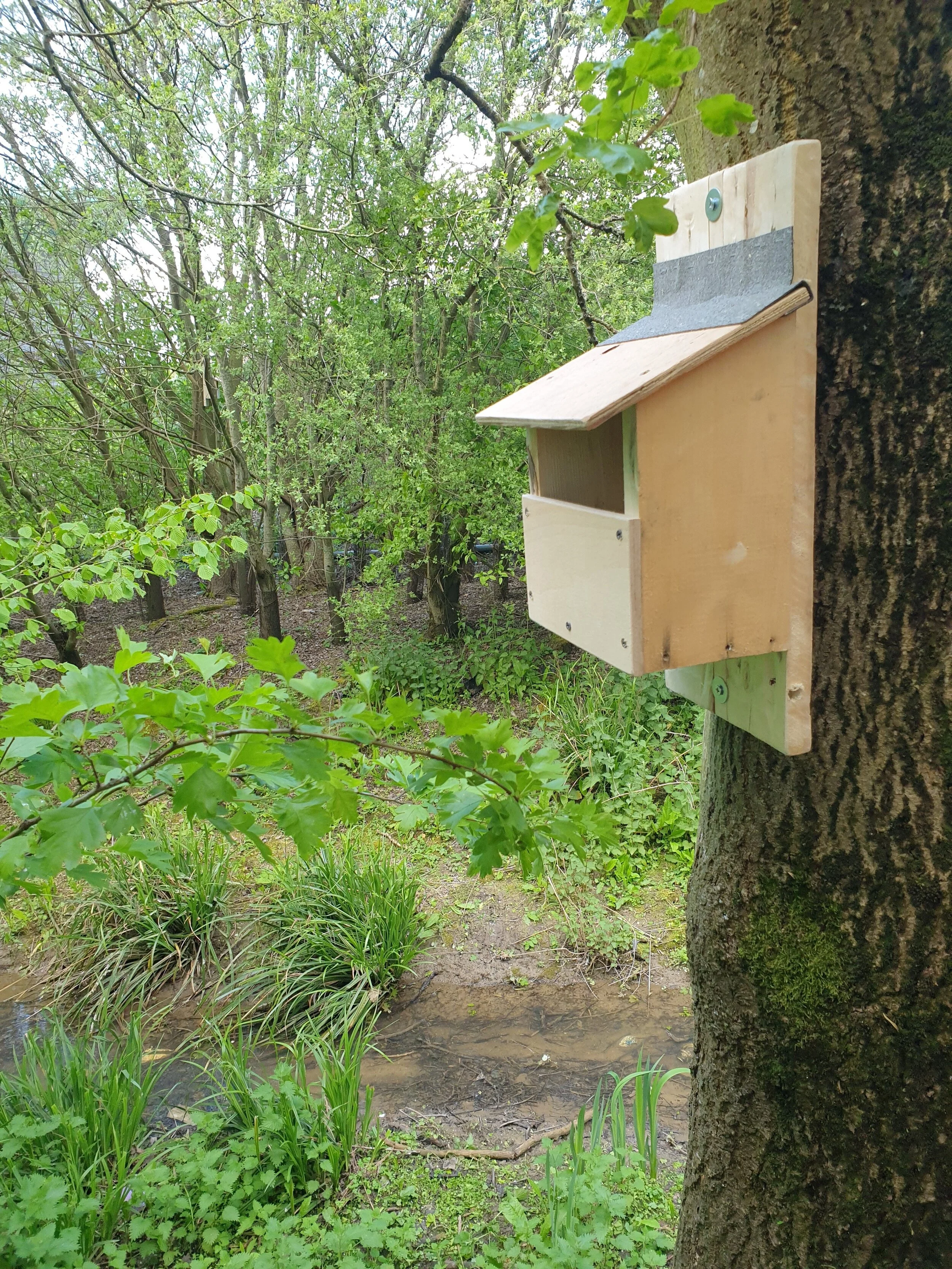 The Gloucestershire Energy from Waste Facility and Gloucestershire Wildlife Trust releases Ecological Appraisal