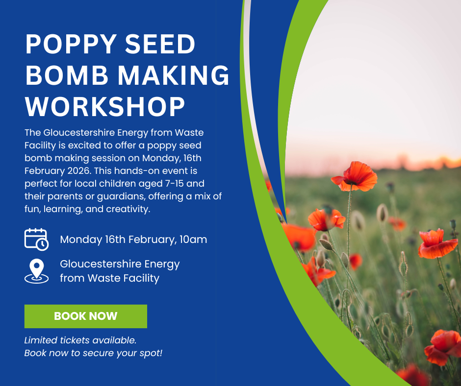 Bring more biodiversity to your garden with poppy seed bomb workshop