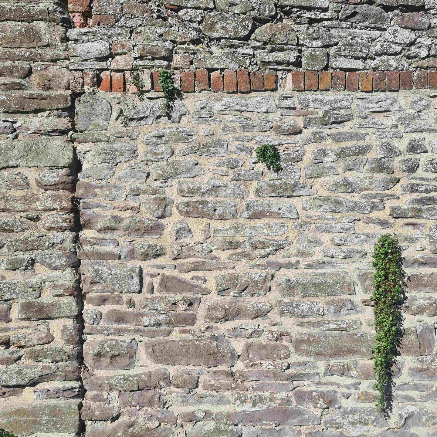 Site Visit -  Abergavenny, Wales _ Enjoying the existing patterns, layered over the years on this boundary wall near the castle. #qoca #qocatecture #architect #architecture