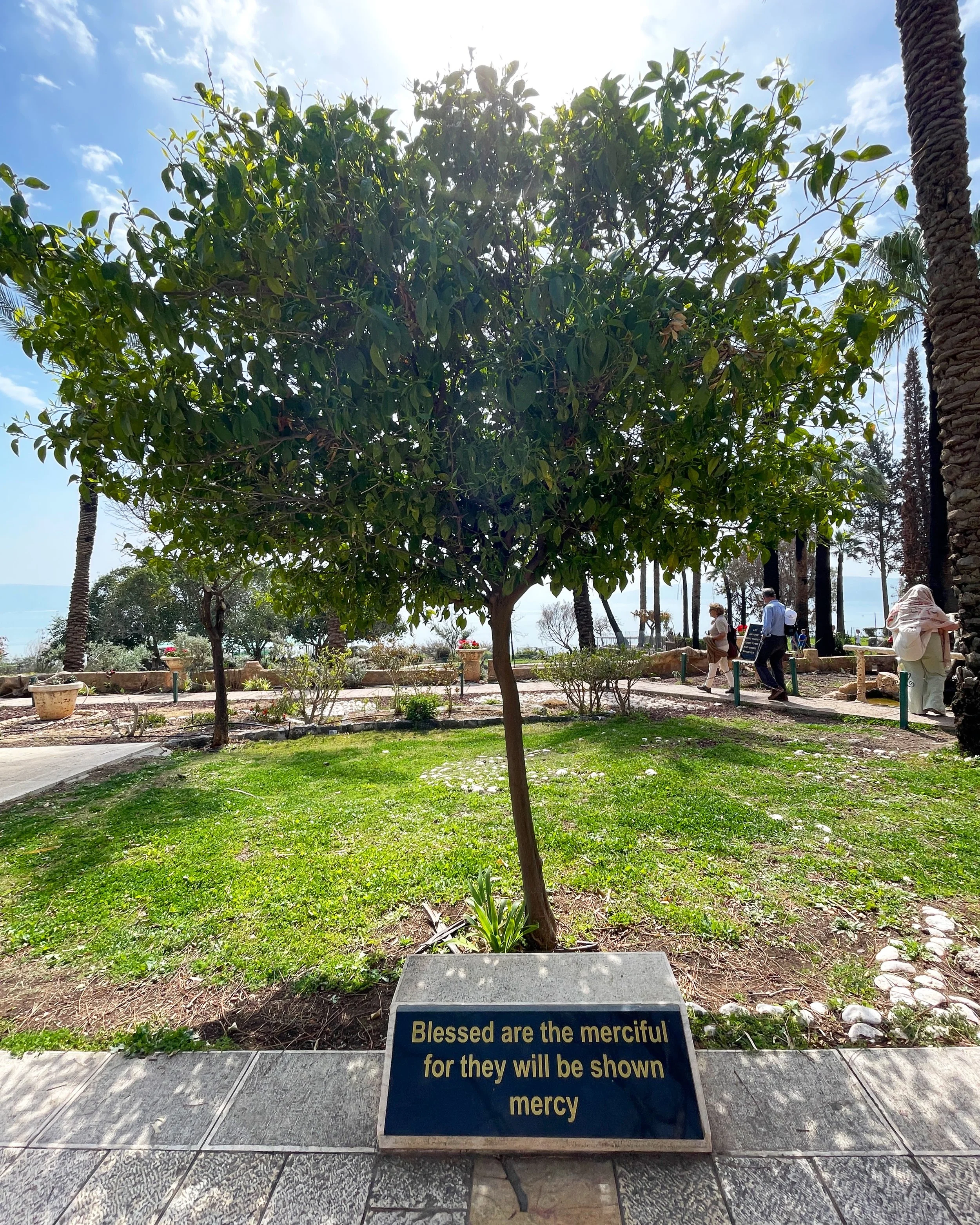 FATHER HAVE MECRY ON US, IN JESUS’ NAME