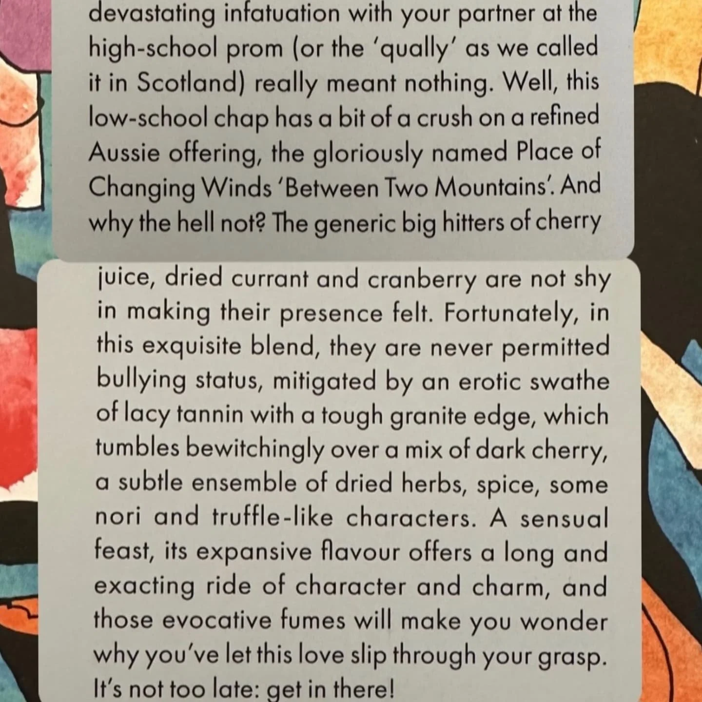 Killer review by the great Irvine Welsh for our Between Two Mountains Pinot 2022 in the latest (fabulous) Noble Rot Magazine. 🙏@irvine.welsh &amp; @noblerotmag ❤️❤️❤️ #chooselife #choosewine #liveuntilyoudie #trainspotting #placeofchangingwinds