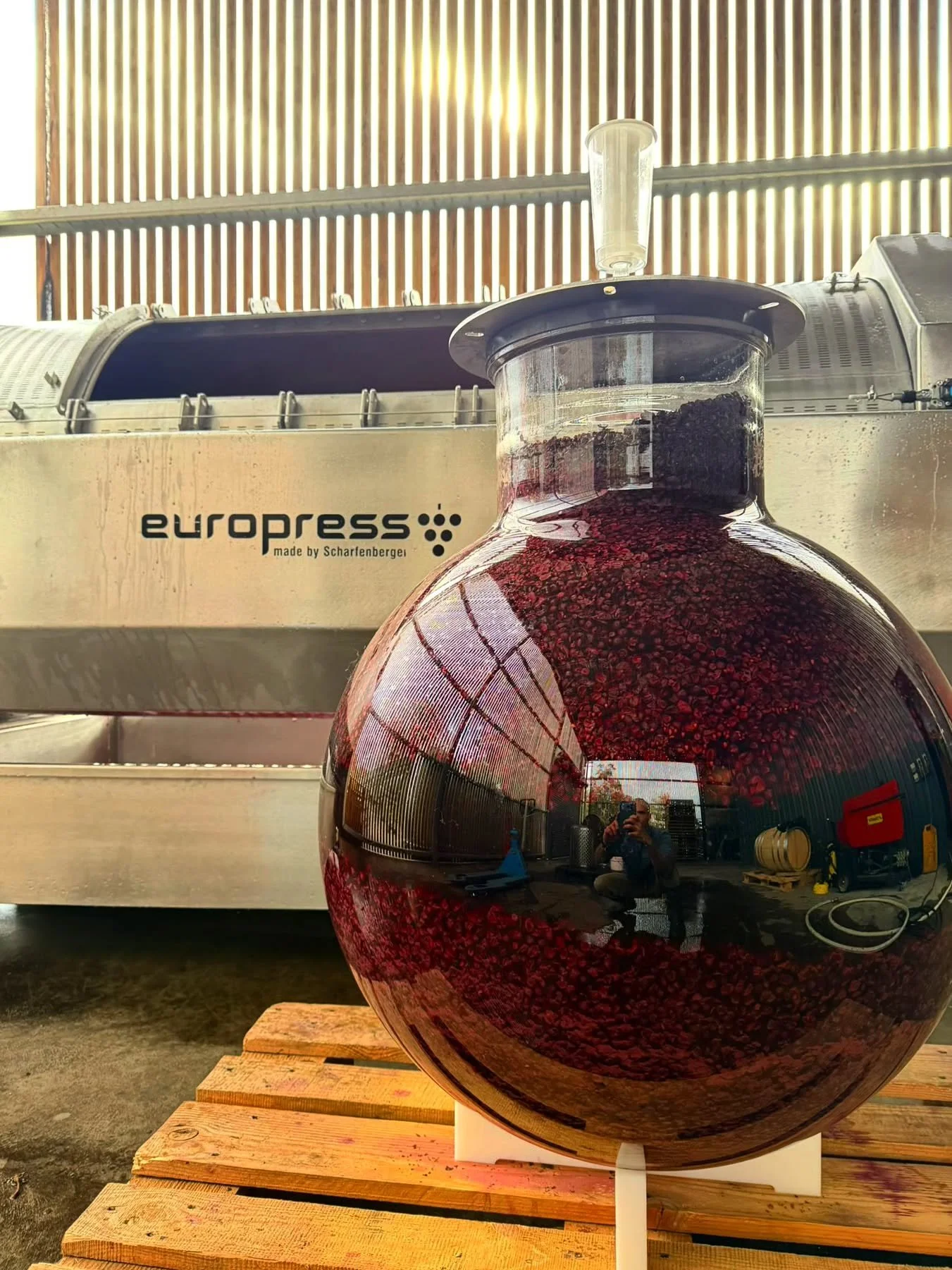 Our entire production of 2026 going to press. No Chardonnay, only one Wine Globe &amp; a small tank of Pinot that will fill one barrique. Spring frost was the major culprit, but then hail late in the season compounded our losses and all those split b