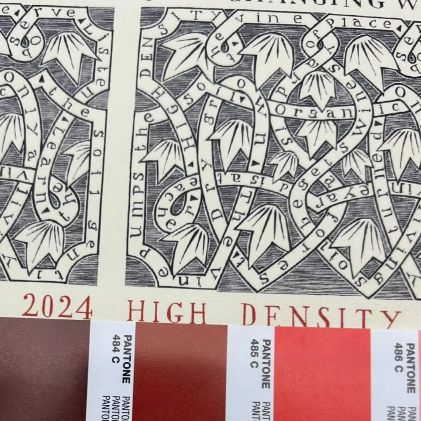 Adding a little bit of colour to the labels for the 2024 release. Not a lot. Just a smidge. Hope people like it. #2024release #placeofchanginglabels
