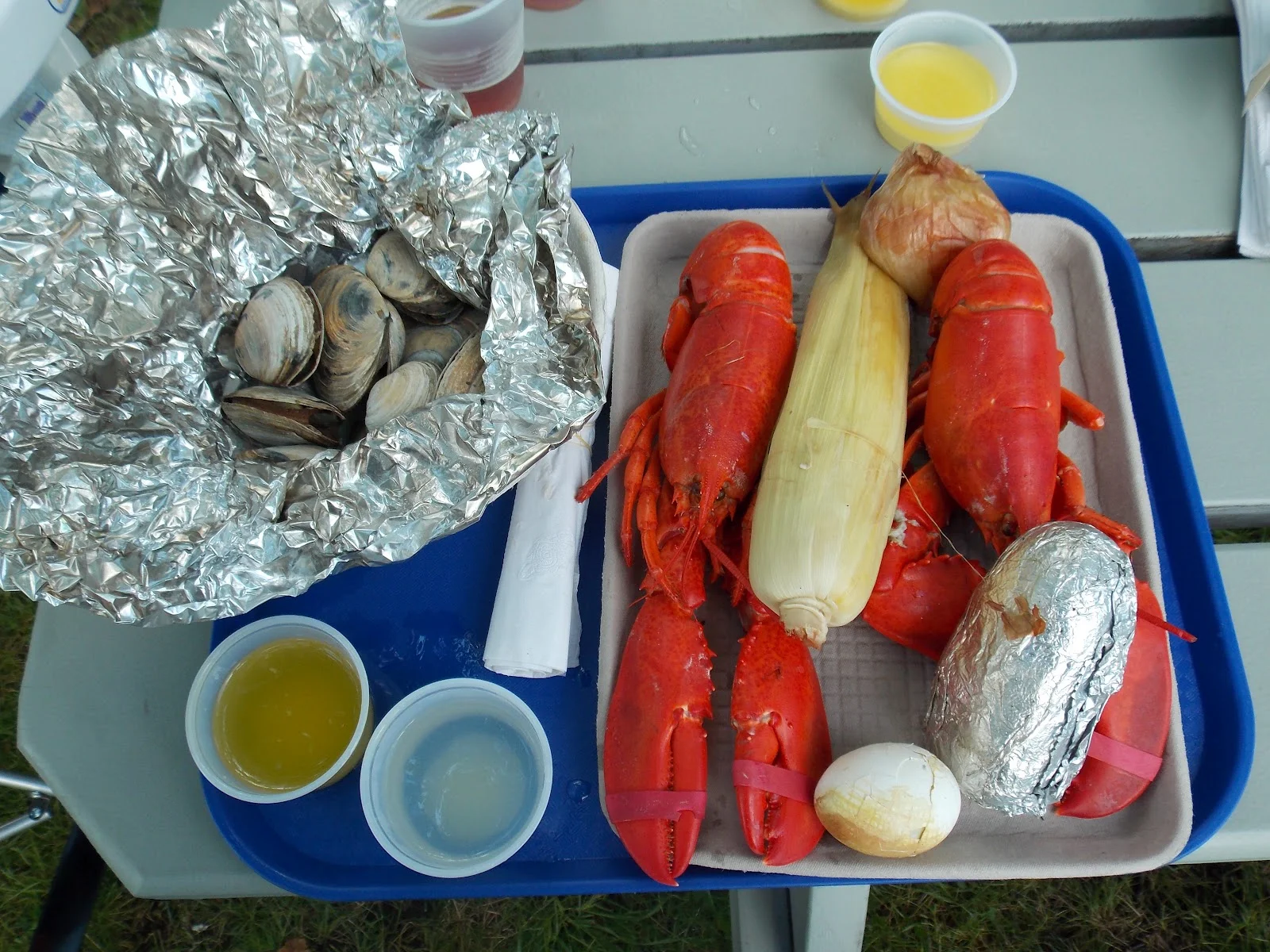 Gallery — Cabbage Island Clambakes