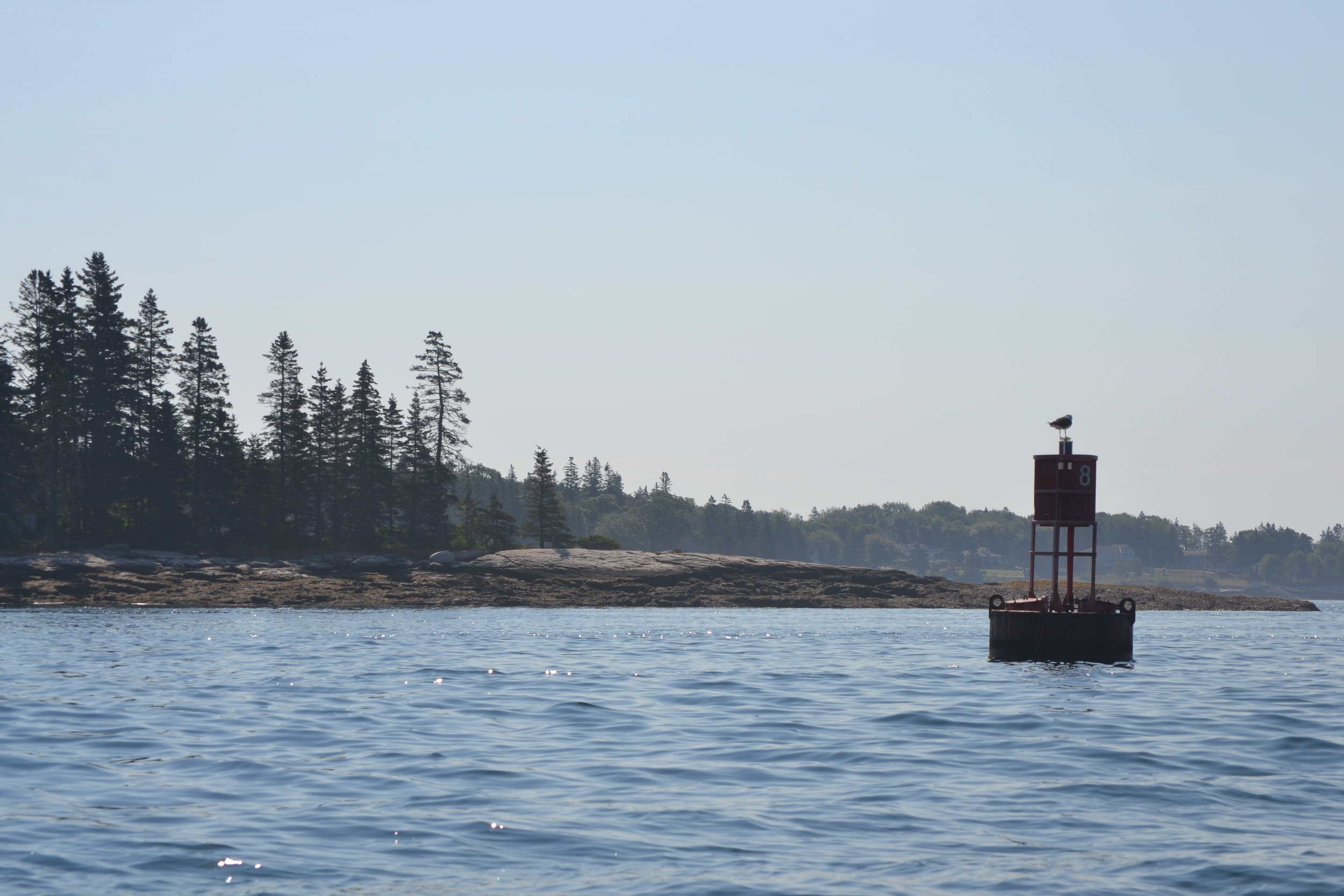 Cabbage Island Clambake Tour at Holly Vaccaro blog