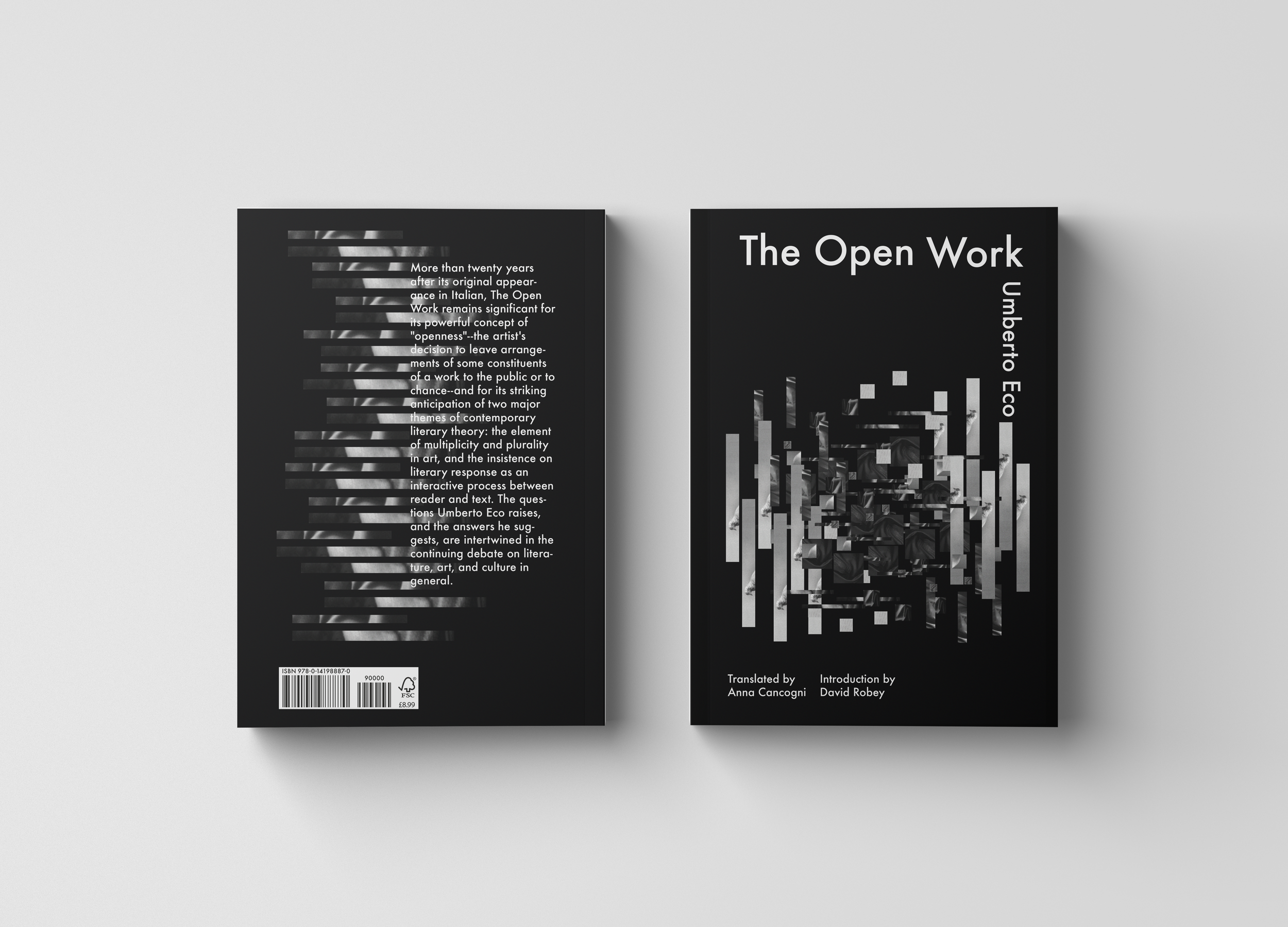 book cover 1 v.png