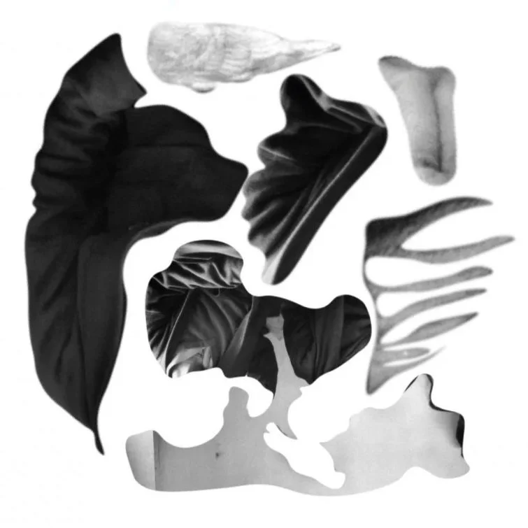 Collage_Activities-12.jpg