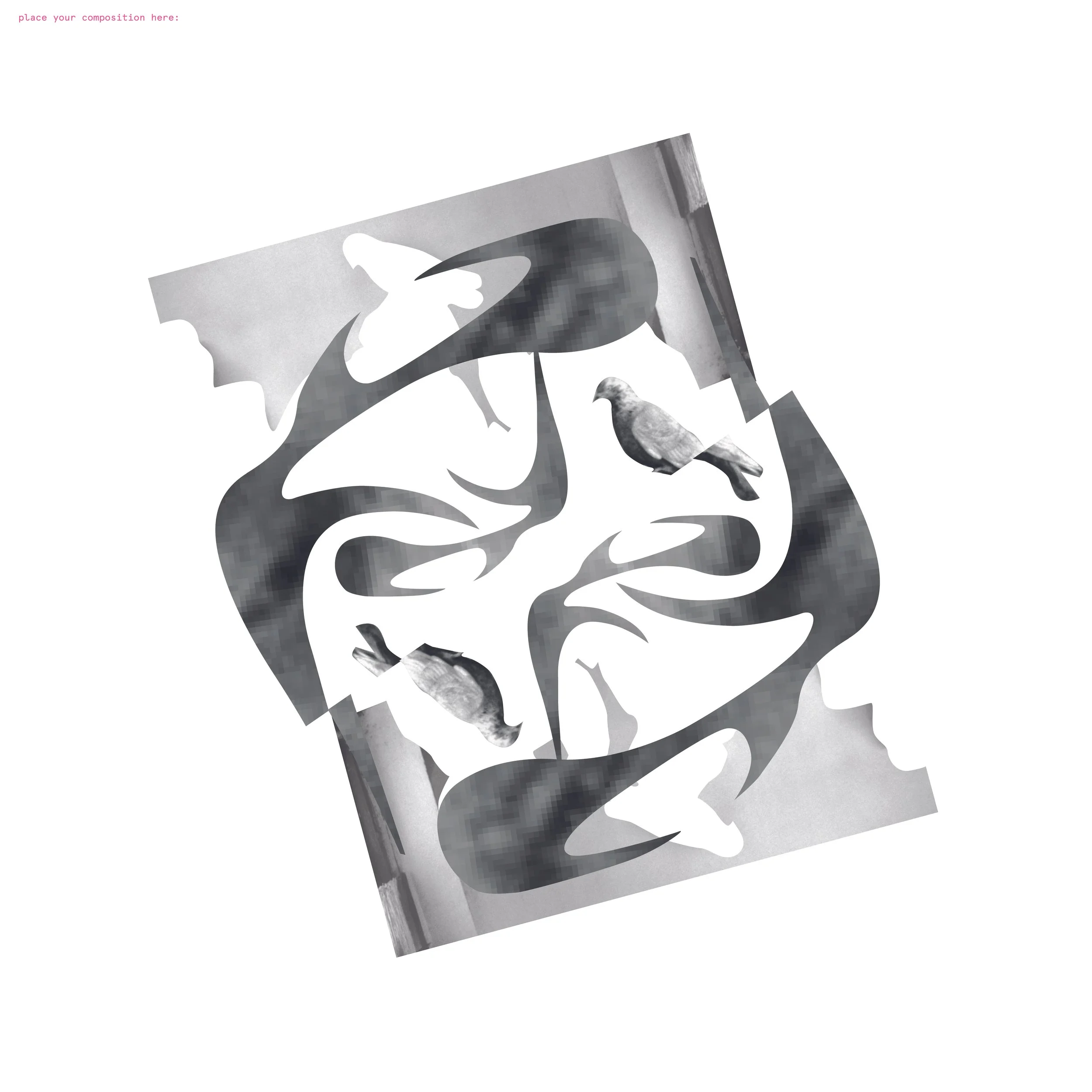 Collage_Activities-17.jpg
