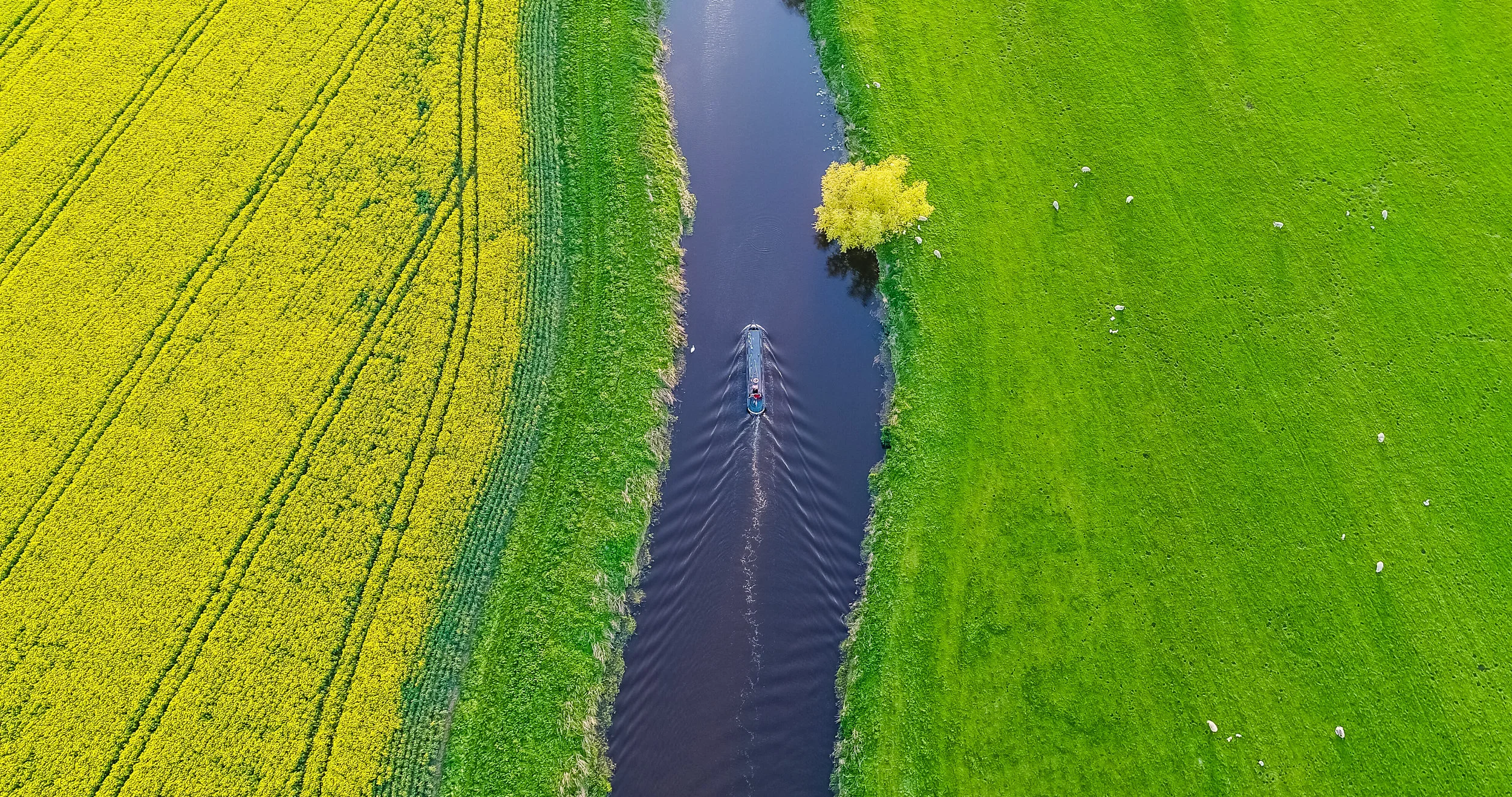 River Nene Narrowboat