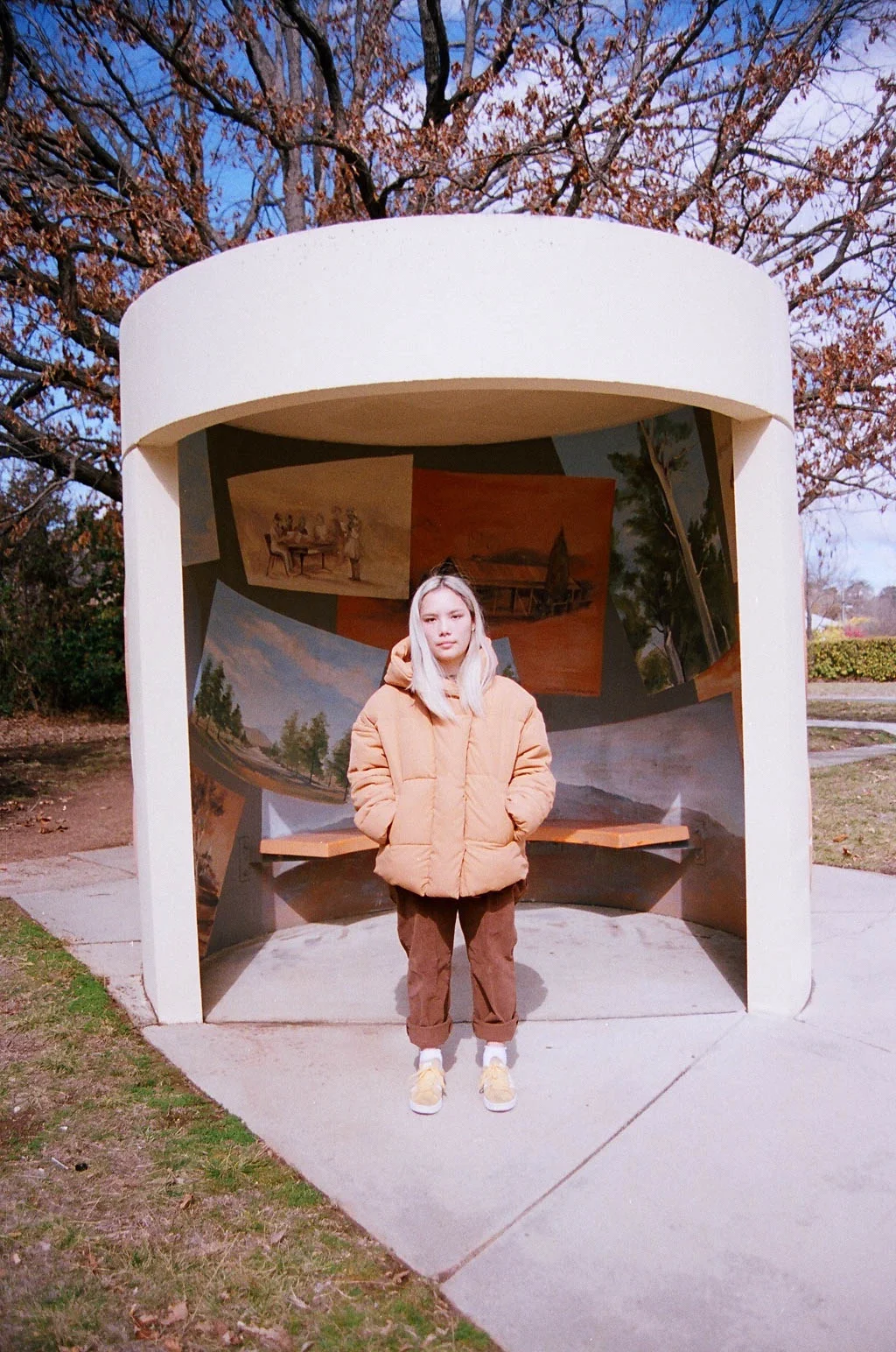 44530007.jpg