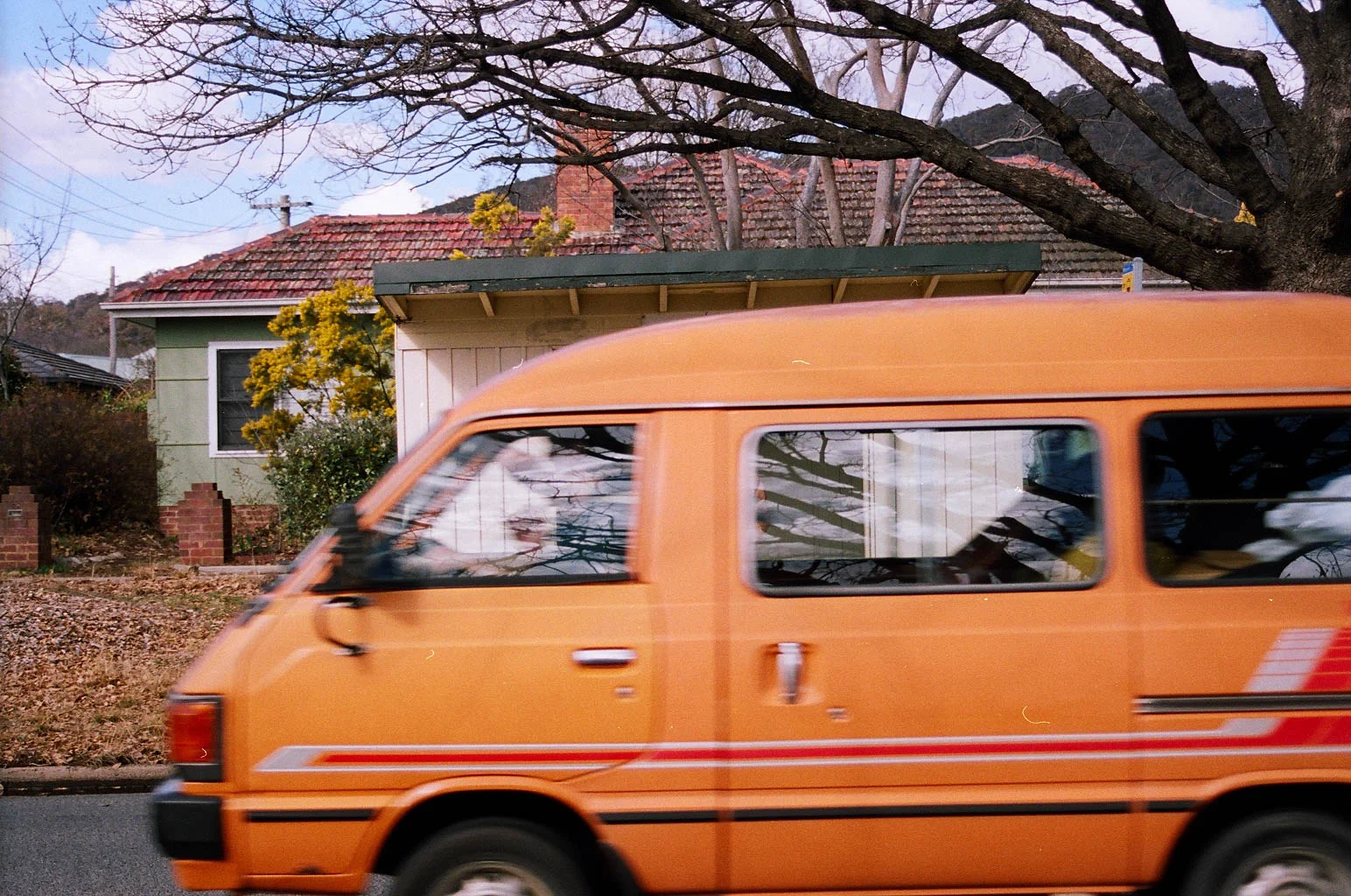 44530020.jpg