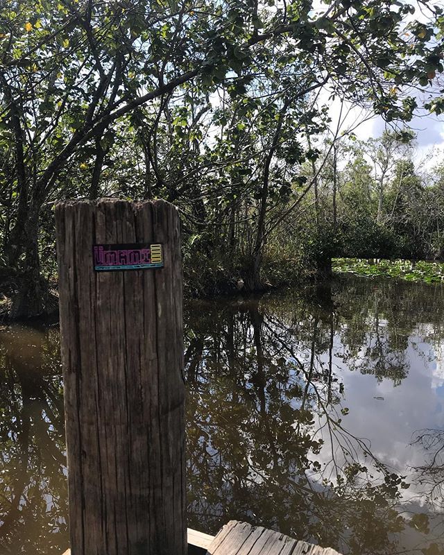 Amazing weekend @iiipoints topped off with a day in the Everglades. Enjoy life y’all 🌴🌊🍃