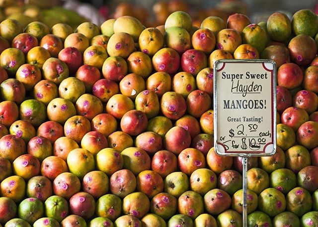March 5th, 2019: HAPPY TREE 0 FIVE DAY! Took you long enough to get it. What’s your favorite fruit grown in soflo? Ours has to be mangos cause your mango me crazy.