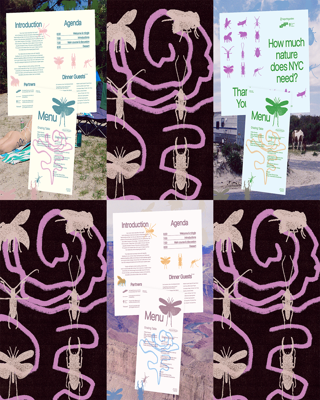 MENU_ART_LAYOUT.png