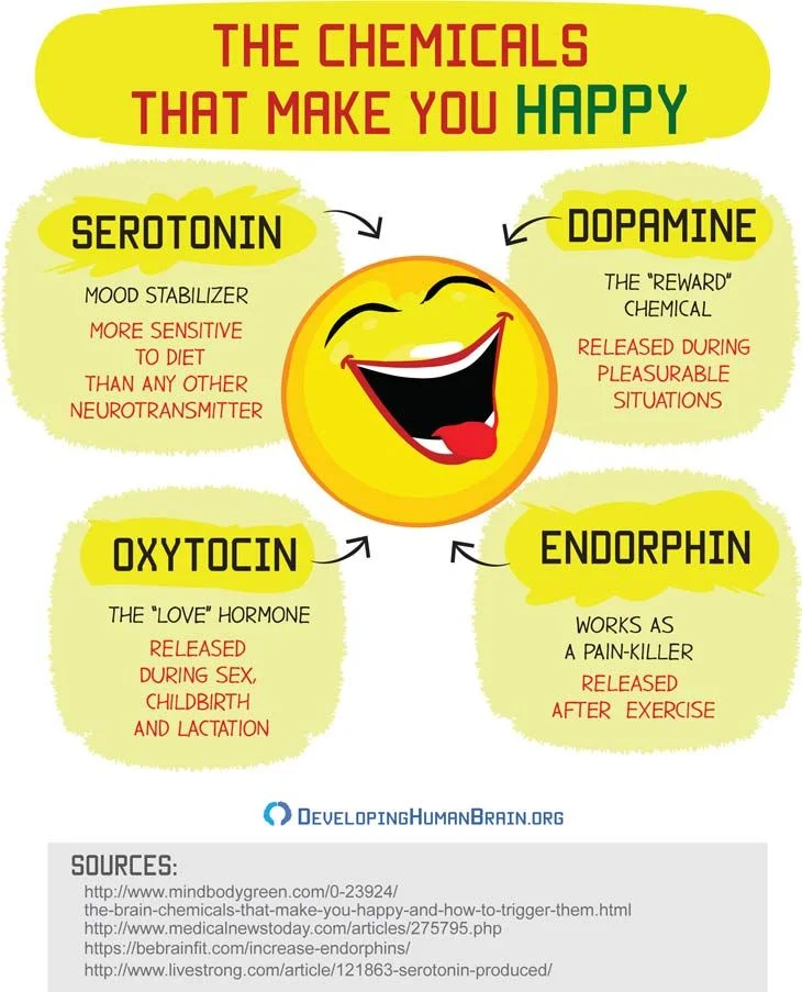 happybrainf3ccdd27d2000e3f9255a7e3e2c48800_01-22-18_01-10-57.jpg