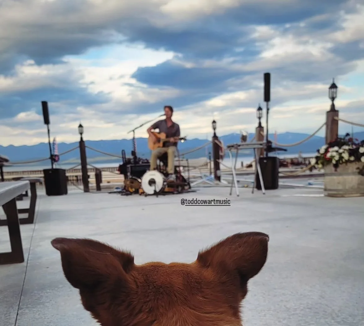 Harbor Grille - Todd and The Drum
