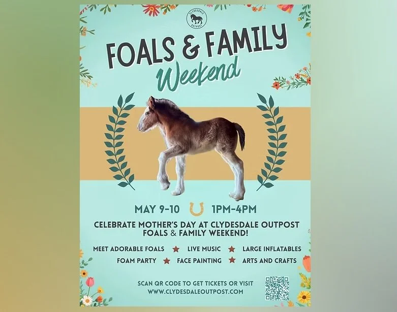 Clydesdale Outpost - Fouls and Family - SATURDAY