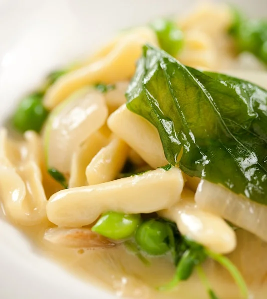 Hand Rolled Cavatelli, English Peas, Caramelized Spring Onion, Olive Oil Emulsion1.jpg