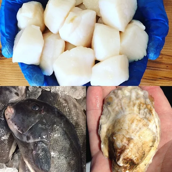 localcatch.jpg