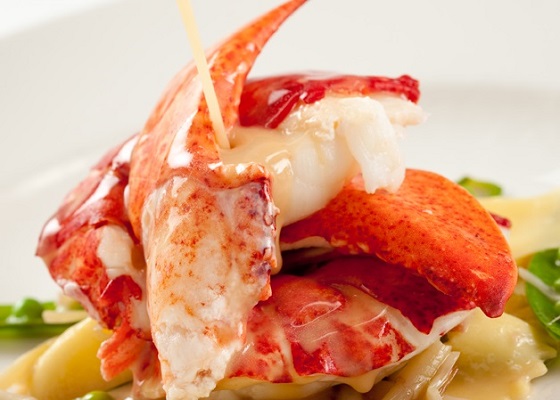 lobster.jpeg