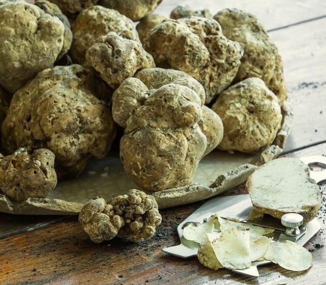 white truffles.jpg