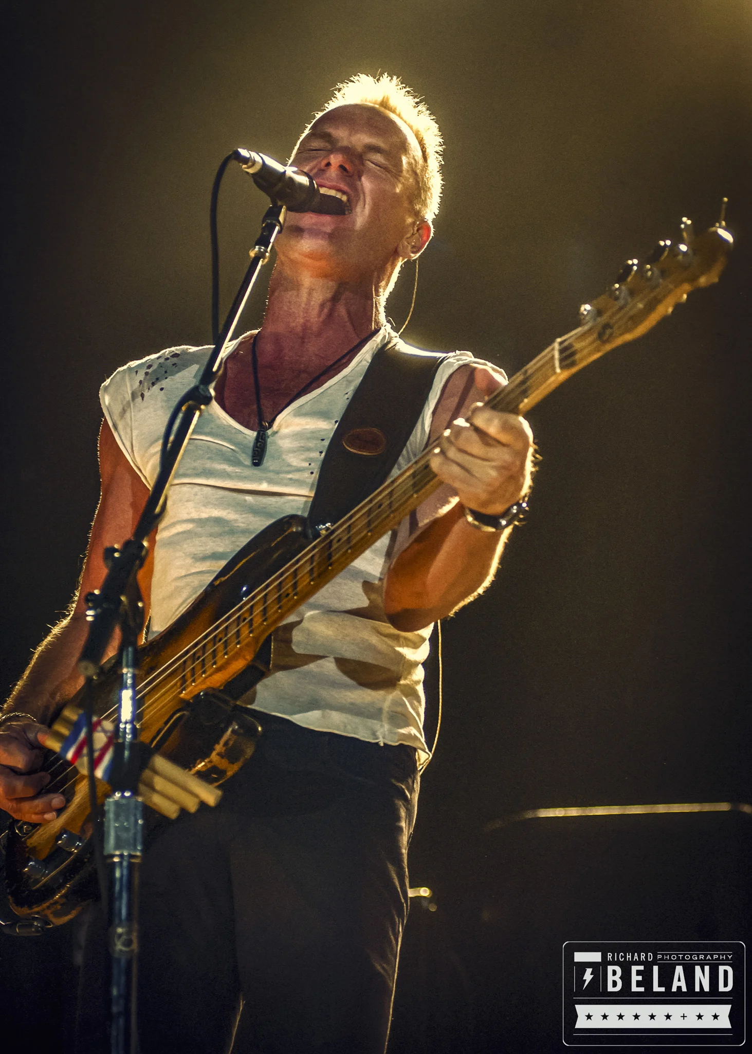 The Police