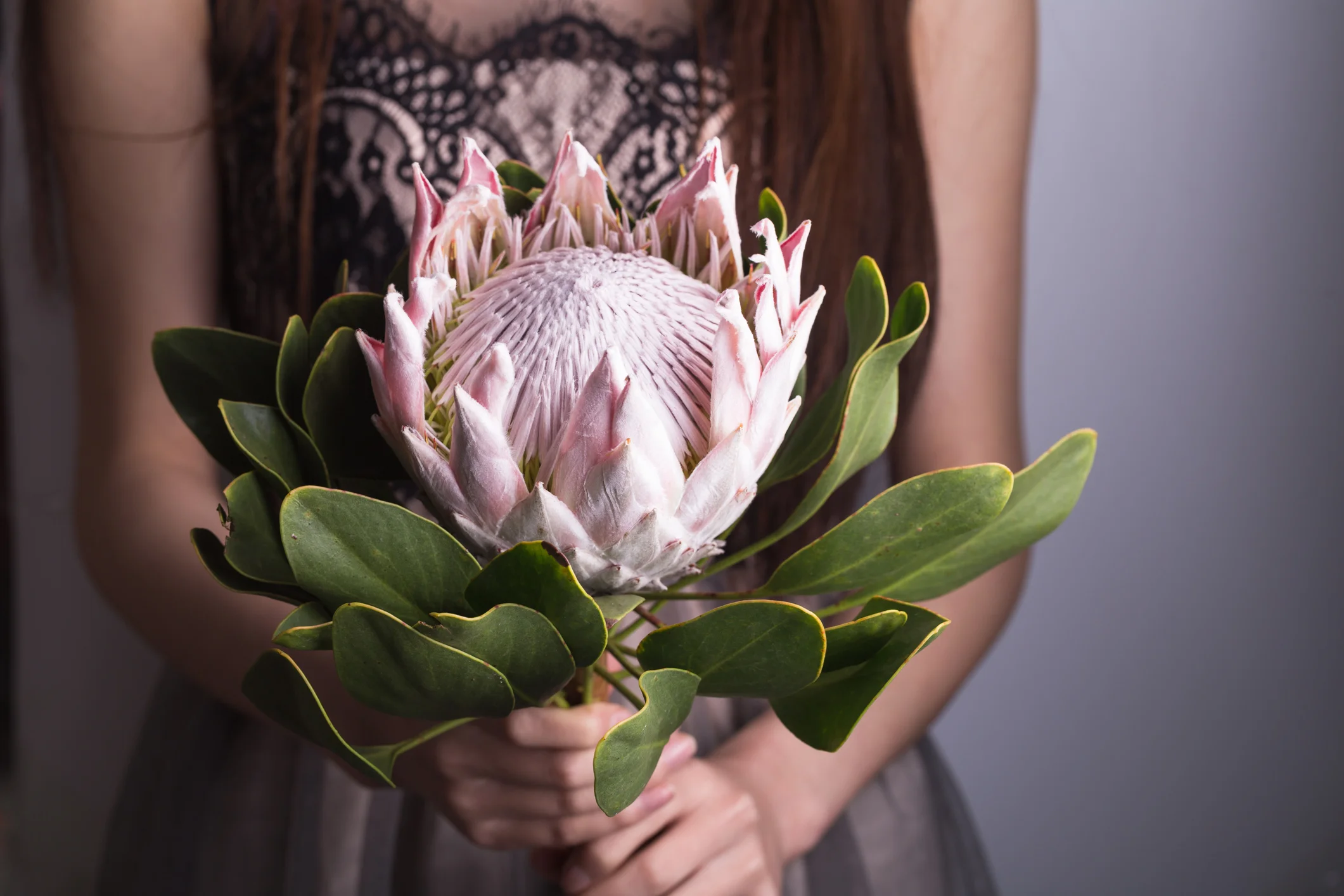 Photo by jxfzsy/iStock / Getty Images