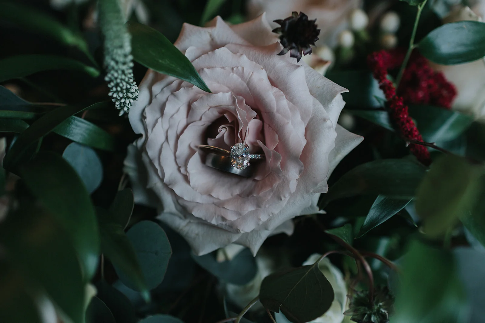 Gand Rapids Wedding Protea Rising2.jpg