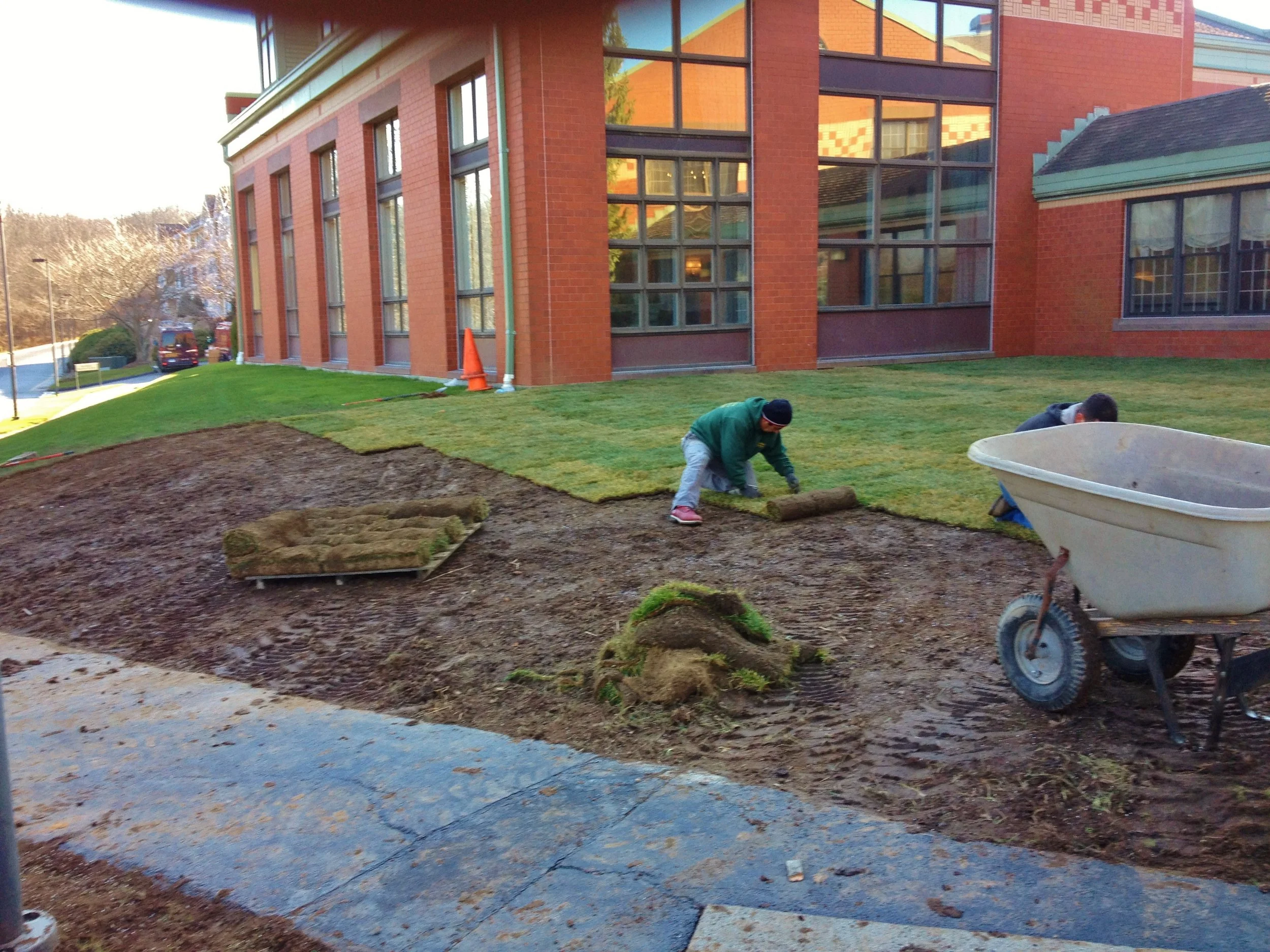Winter Sod Installation