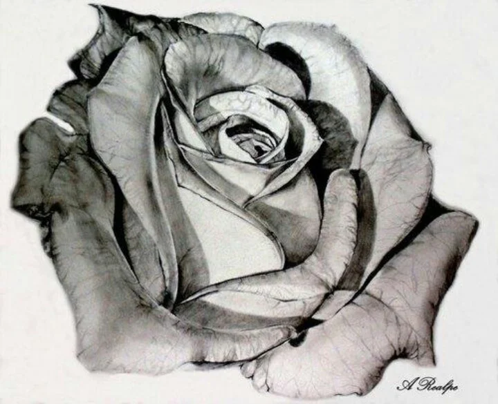 b5b891149ba89d32ebb0f15e371142ff--beautiful-roses-beautiful-tattoos.jpg