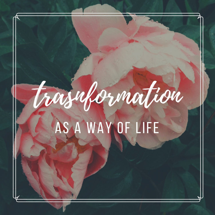 trasnformation.jpg