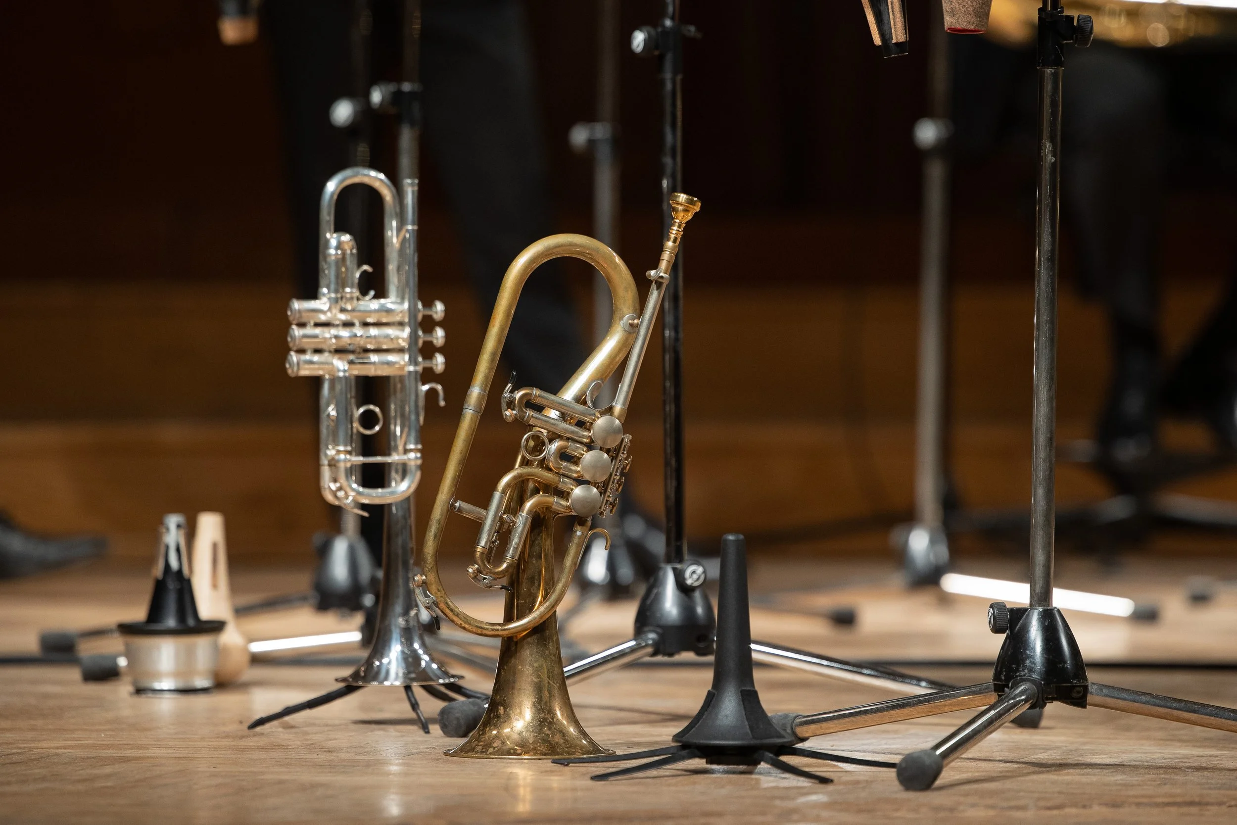 IMG_7264 katja kodba.jpg