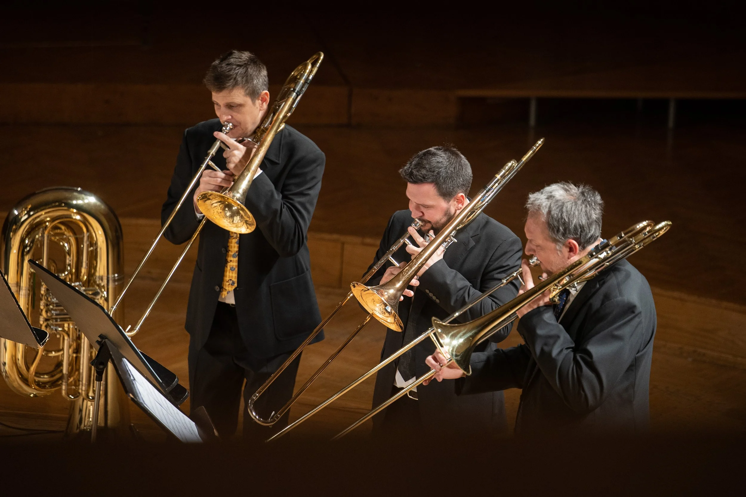 IMG_8341 katja kodba.jpg