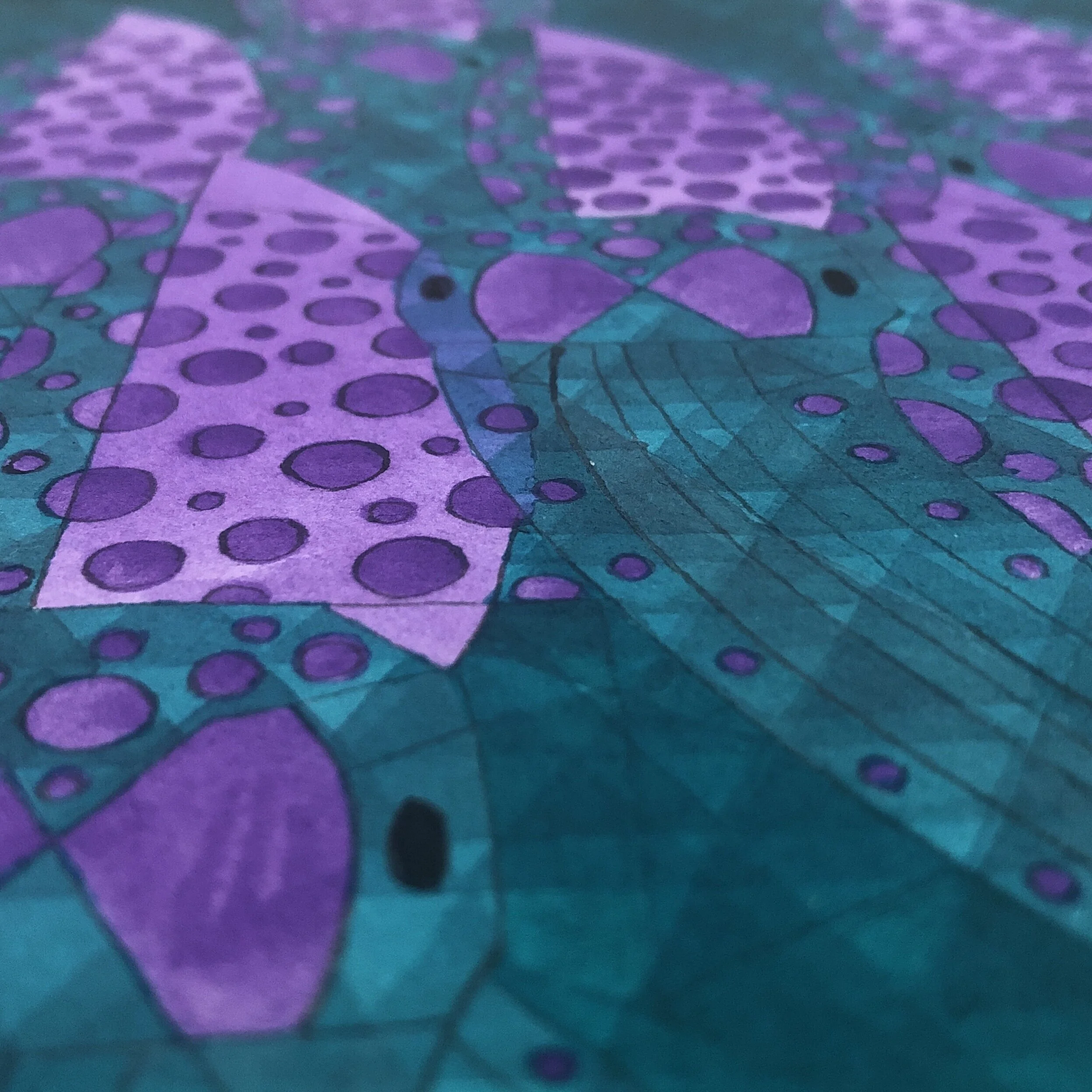 F92AC306-78AC-4683-95C8-CA5263E17C0D.jpeg