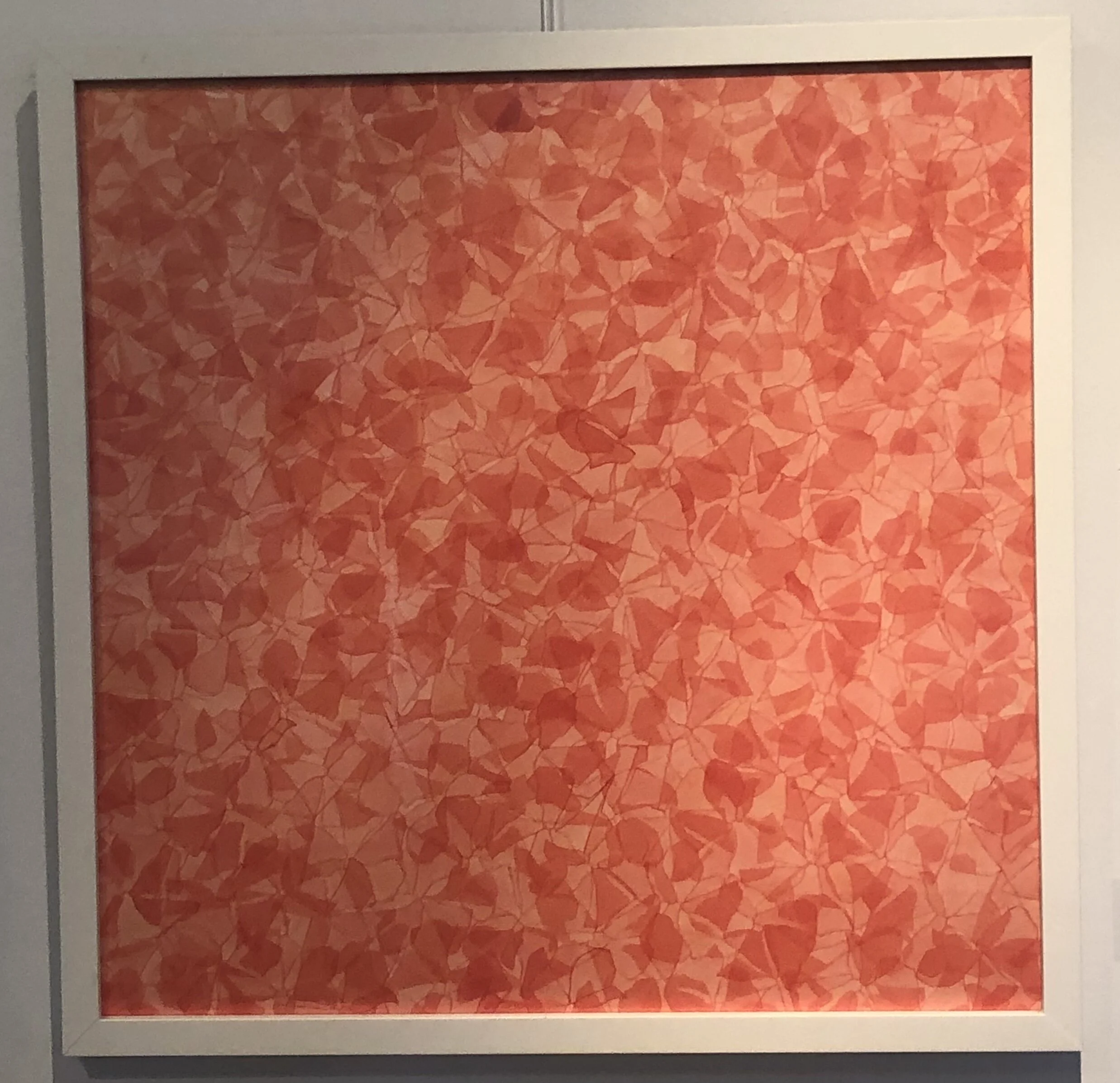 E76D2119-500D-455A-BBF6-E7A9F07BCD3C.jpeg