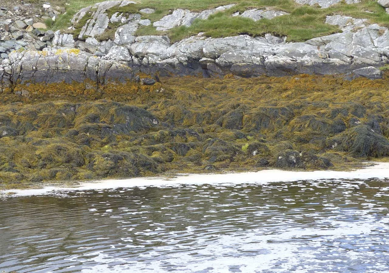 The layered coast of South East Harris