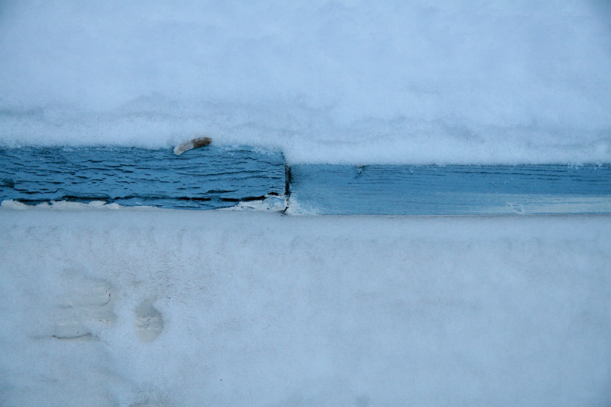 White snow, blue line