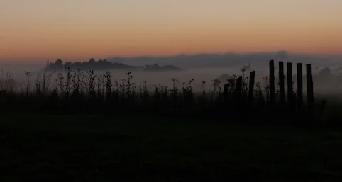 Mist across the field.jpg