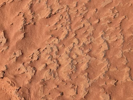 Desert sand after rain.jpg