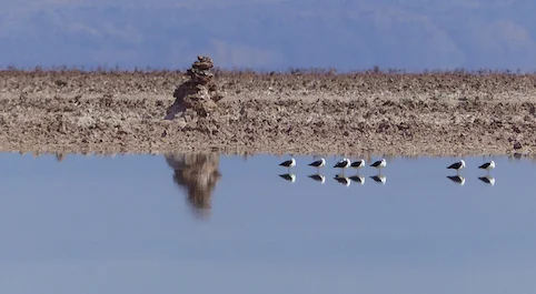 The salt pan (salar) of the Atacama, south of San Pedro de Atacama