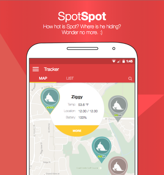 LPWAN Sensor